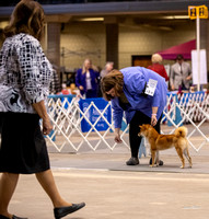 Dogshow 2023-10-21 NSCA and Rapid City--092355