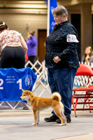 Dogshow 2023-10-21 NSCA and Rapid City--092420
