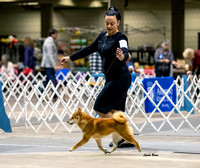 Dogshow 2023-10-21 NSCA and Rapid City--092705-3
