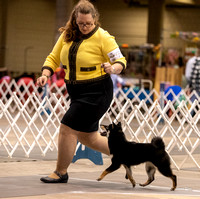 Dogshow 2023-10-21 NSCA and Rapid City--093112