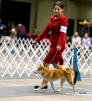 Dogshow 2023-10-21 NSCA and Rapid City--093937-4