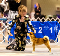 Dogshow 2023-10-21 NSCA and Rapid City--110521