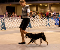 Dogshow 2023-10-21 NSCA and Rapid City--110813-4
