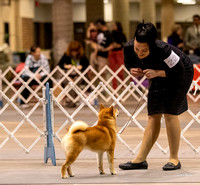 Dogshow 2023-10-21 NSCA and Rapid City--112202