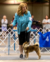 Dogshow 2023-10-21 NSCA and Rapid City--113358