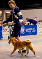 Dogshow 2023-10-21 NSCA and Rapid City--105343