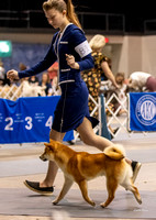 Dogshow 2023-10-21 NSCA and Rapid City--105343-3