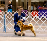 Dogshow 2023-10-21 NSCA and Rapid City--105956-2