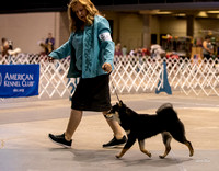 Dogshow 2023-10-21 NSCA and Rapid City--110306-2