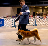 Dogshow 2023-10-21 NSCA and Rapid City--095018-3