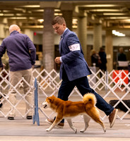 Dogshow 2023-10-21 NSCA and Rapid City--095035-3