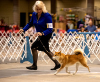 Dogshow 2023-10-21 NSCA and Rapid City--095242-5