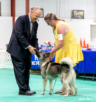 Dogshow 2024-06-30 NEINEA Candids--110127