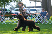 Dogshow 2018-07-30 Burlington WI (Mon)--162131