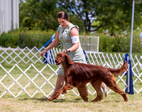 Dogshow 2022-07-30 Waukesha KC--104105