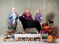 Dogshow 2024-10-26 BMDCNI Day 2--165237