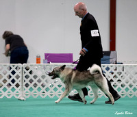 Dogshow 2024-06-29 NEINEA Candids--123958-3