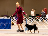 Dogshow 2023-10-22 NSCA and Rapid City--092559-2