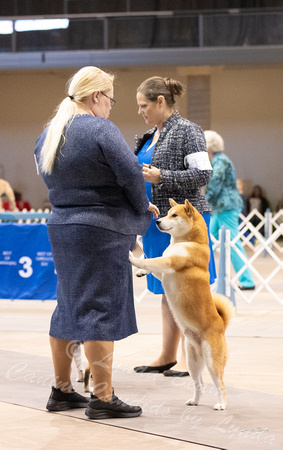 Dogshow 2023-10-22 NSCA and Rapid City--094325