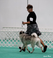 Dogshow 2024-06-30 NEINEA Candids--103606