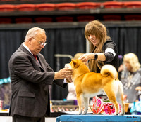 Dogshow 2023-10-21 NSCA and Rapid City--164758