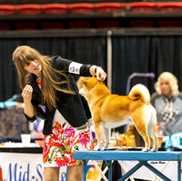 Dogshow 2023-10-21 NSCA and Rapid City--164744