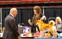 Dogshow 2023-10-21 NSCA and Rapid City--164756