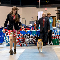 Dogshow 2023-10-21 NSCA and Rapid City--164828-5