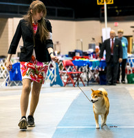 Dogshow 2023-10-21 NSCA and Rapid City--164830-4