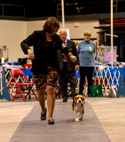 Dogshow 2023-10-21 NSCA and Rapid City--164921