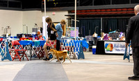 Dogshow 2023-10-21 NSCA and Rapid City--165101-4