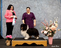 Dogshow 2025-04-05 2025 Interlocking SSC of Monee Win Photos --115559