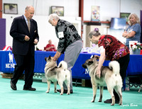 Dogshow 2024-06-30 NEINEA Candids--110856