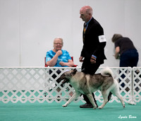 Dogshow 2024-06-29 NEINEA Candids--123959