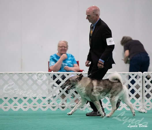 Dogshow 2024-06-29 NEINEA Candids--123959