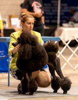 Dogshow 2023-10-21 NSCA and Rapid City--153438