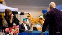 Dogshow 2023-10-21 NSCA and Rapid City--153625