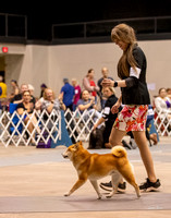 Dogshow 2023-10-21 NSCA and Rapid City--153716-2