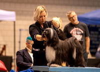 Dogshow 2023-10-21 NSCA and Rapid City--153825