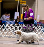 Dogshow 2023-10-20 Rapid City SD Day 1--110625