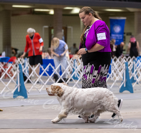 Dogshow 2023-10-20 Rapid City SD Day 1--110742
