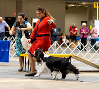 Dogshow 2023-10-20 Rapid City SD Day 1--111701