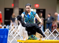 Dogshow 2023-10-20 Rapid City SD Day 1--111712