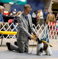 Dogshow 2023-10-20 Rapid City SD Day 1--161440-2