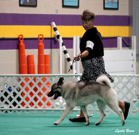 Dogshow 2024-06-30 NEINEA Candids--103142-2