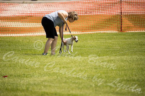 Dogshow 2016-06-11 Oak Creek CAT--105110-5
