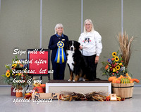 Dogshow 2021-10-30 BMDCNI Day 1 Win Photos --121830-2