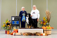 Dogshow 2021-10-30 BMDCNI Day 1 Win Photos --121832-2