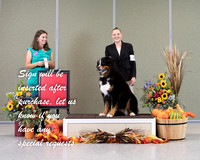 Dogshow 2021-10-30 BMDCNI Day 1 Win Photos --103909