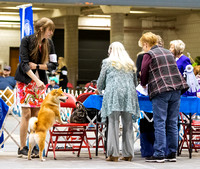 Dogshow 2023-10-21 NSCA and Rapid City--144806 copy